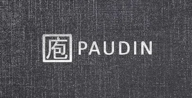 Paudin