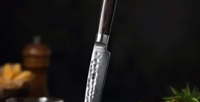 Mejores Cuchillos Para Carne